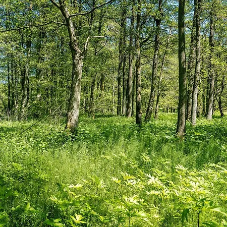 Bredelykke Dom wakacyjny