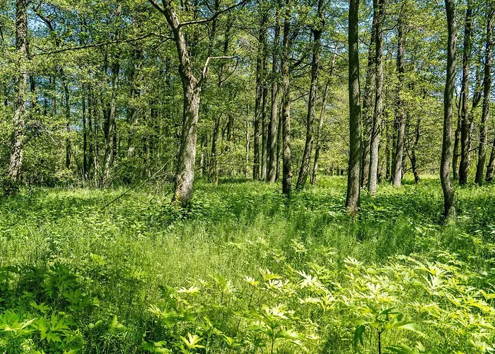 Bredelykke Casa de Férias