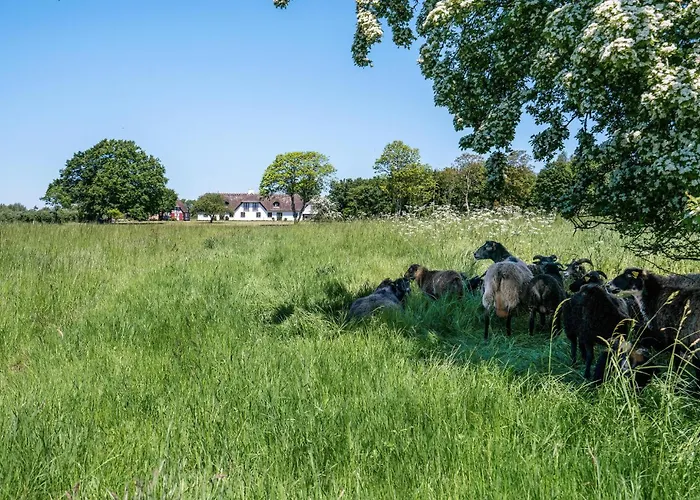 Casa vacanze Bredelykke *